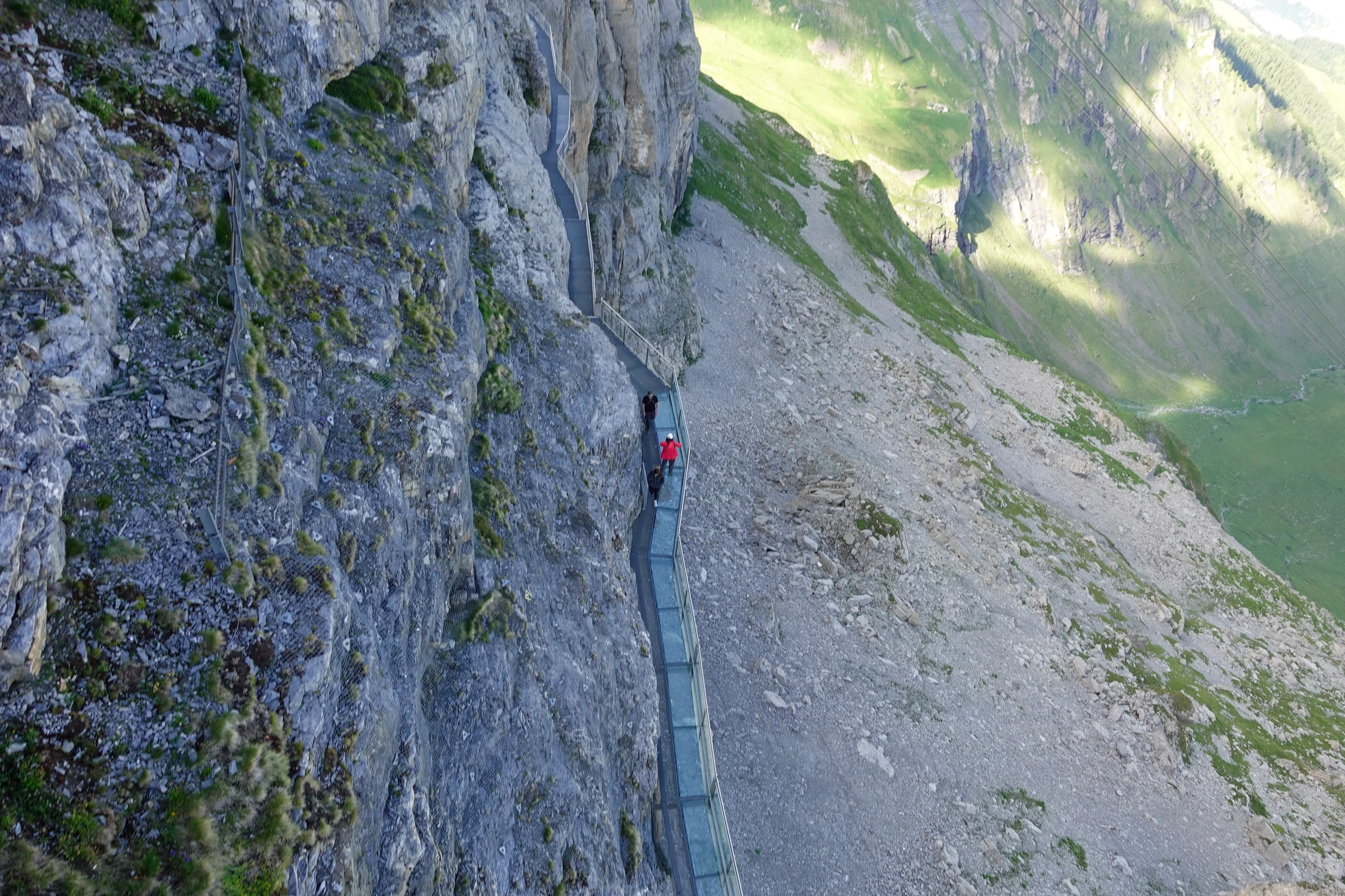 Thrill Walk auf der Birg: Steg aus Stahl und Glas an der Felswand mit rotem Tunnelstück