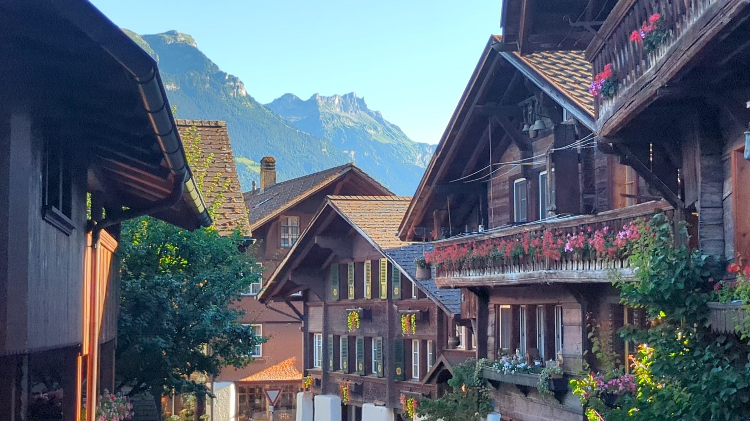 Alte Holzhäuser in der Brunngasse in Brienz mit roten und rosa Blumenkästen an den Lauben, Berge im Hintergrund