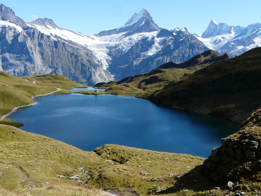 Bachalpsee in grünen Alpweiden, dahinter Schreckhorn und Oberer Grindelwaldgletscher