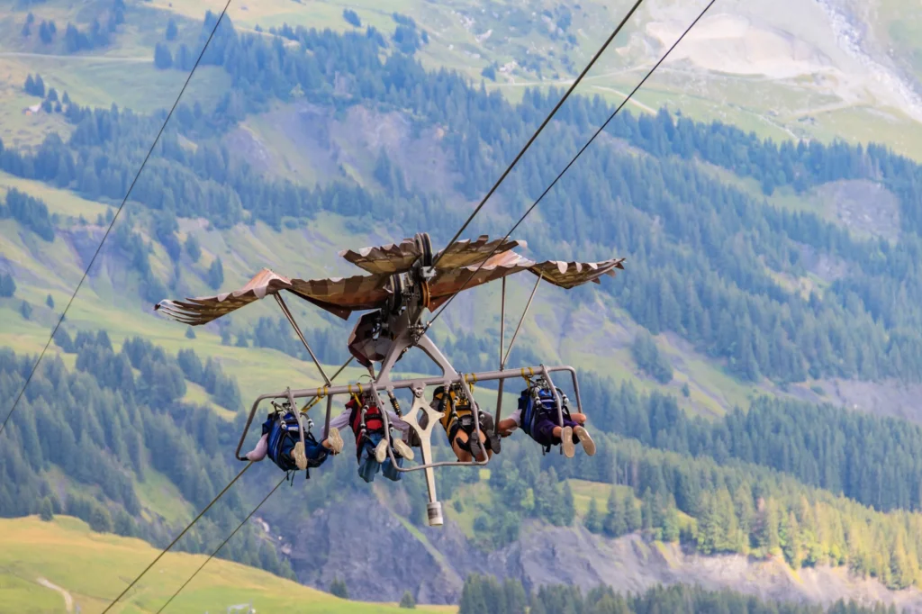 Vier Fahrgäste im adlerförmigen First Glider über den grünen Hängen