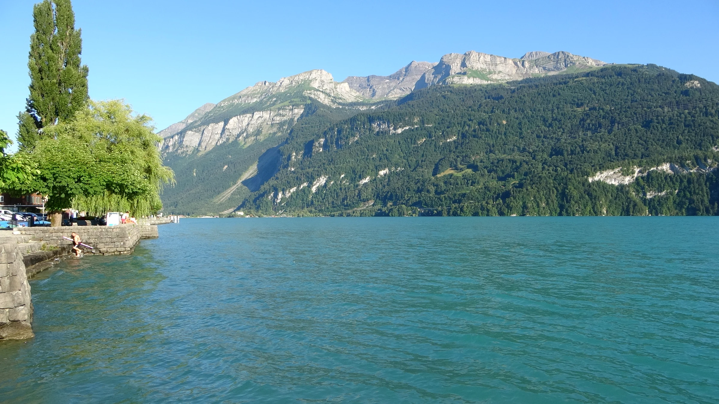 Türkisfarbenes Wasser am Quai von Brienz mit Pappeln und den Bergen am Südufer des Brienzersees