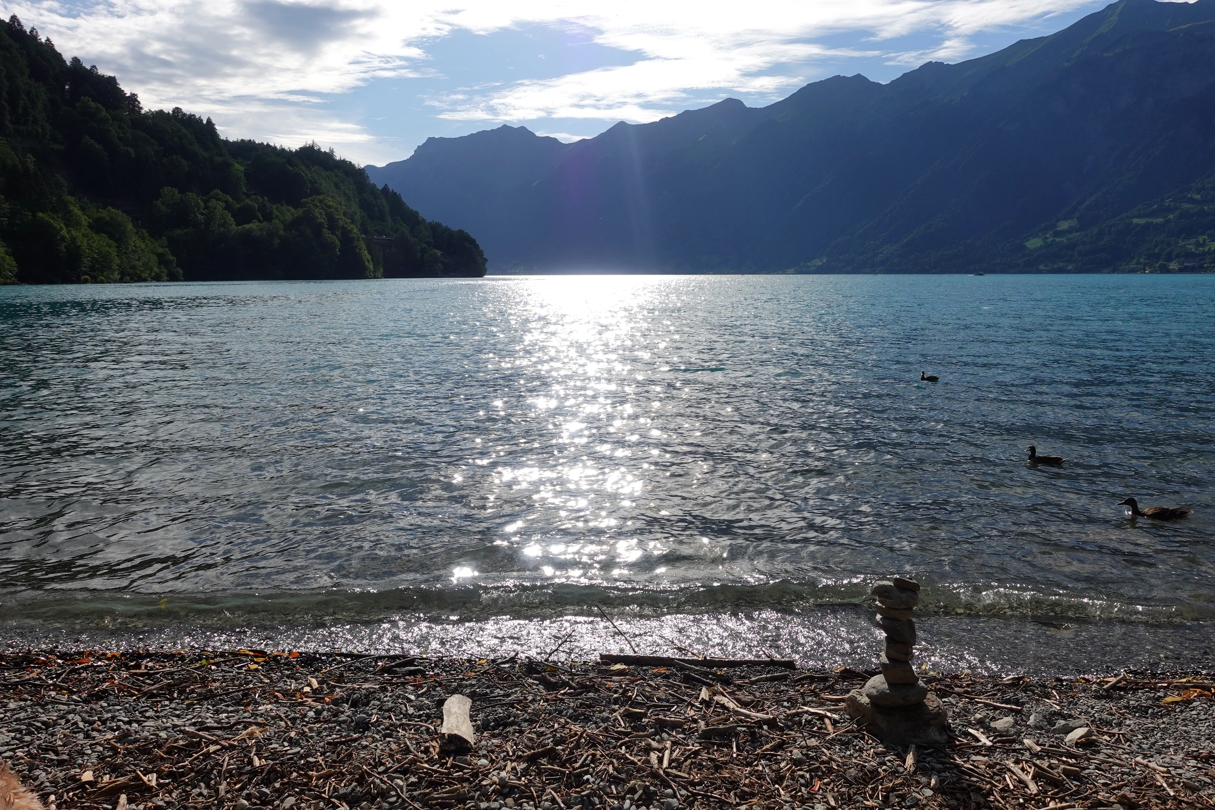 Abendsonne spiegelt sich im Brienzersee, gesehen vom Kiesufer bei Wycheley mit Steinmännchen im Vordergrund