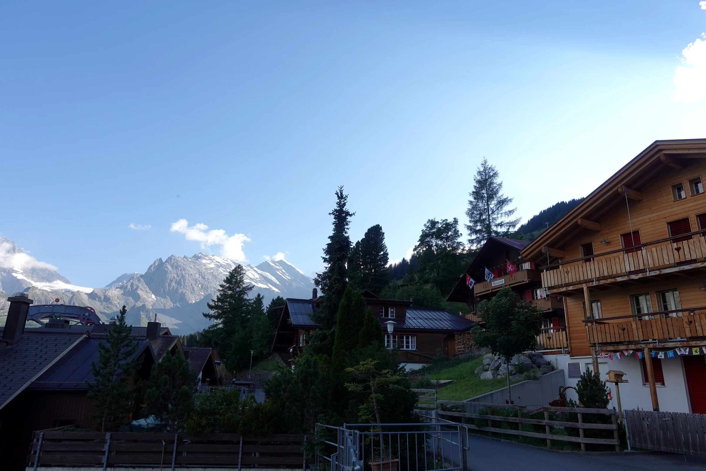 Chalets und Tannen in Mürren im Abendlicht mit vergletscherten Gipfeln dahinter