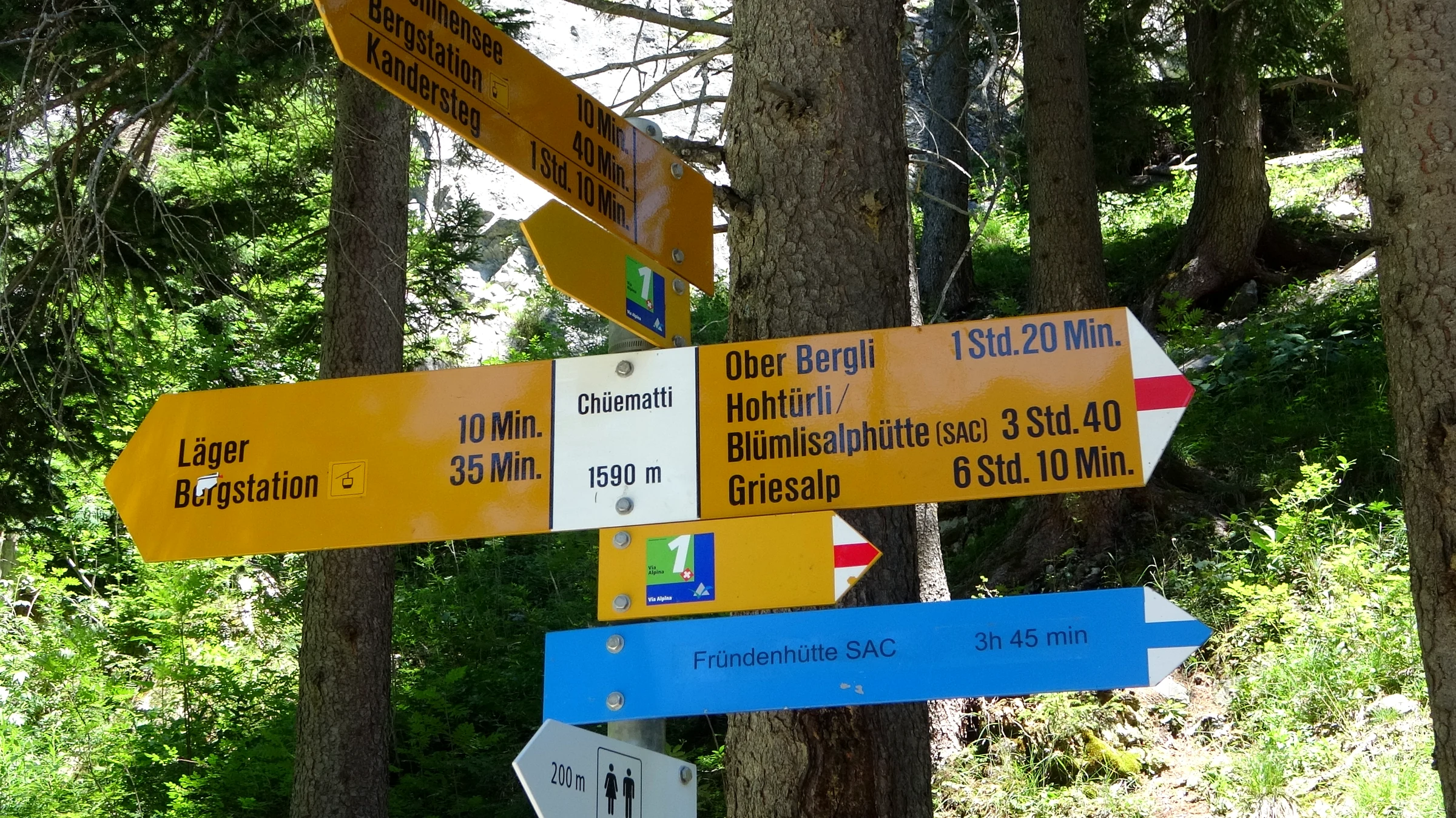 Gelber Wegweiser Chüematti auf 1590 m mit Zeiten nach Läger, Ober Bergli, Hohtürli und Griesalp