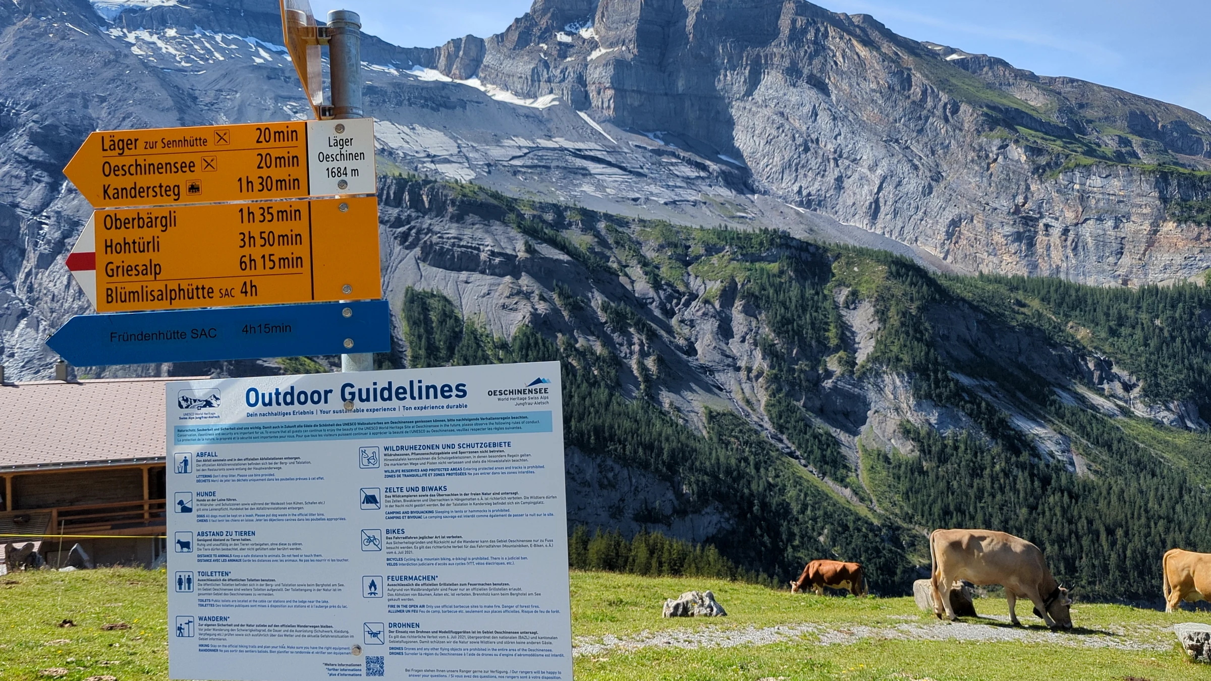 Gelber Wegweiser Läger Oeschinen auf 1684 m neben der Tafel Outdoor Guidelines und grasenden Kühen