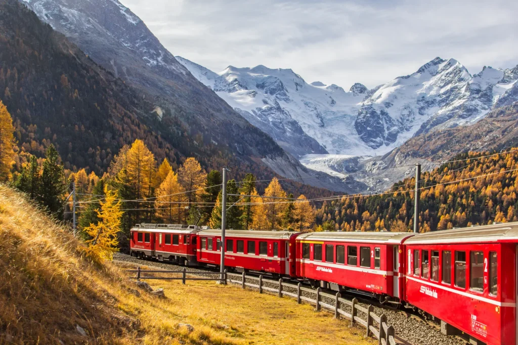 Red Rhaetian Railway train in autumn larches below the Bernina massif and Morteratsch glacier