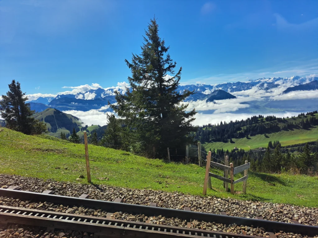 Rigi meadow with a tall fir tree above a sea of fog, snow-covered Alps on the horizon, cogwheel tracks in the foreground