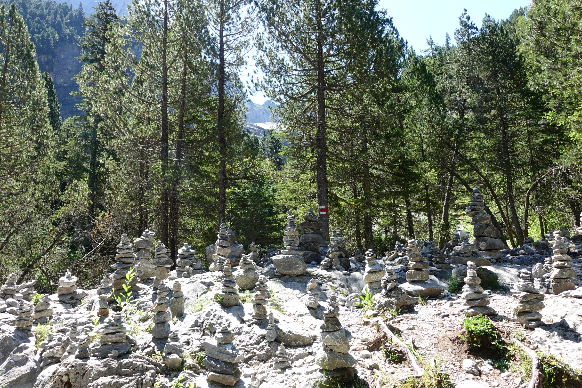 Hunderte Steinmännli auf Kalkblöcken im Föhrenwald oberhalb der Gletscherschlucht Rosenlaui