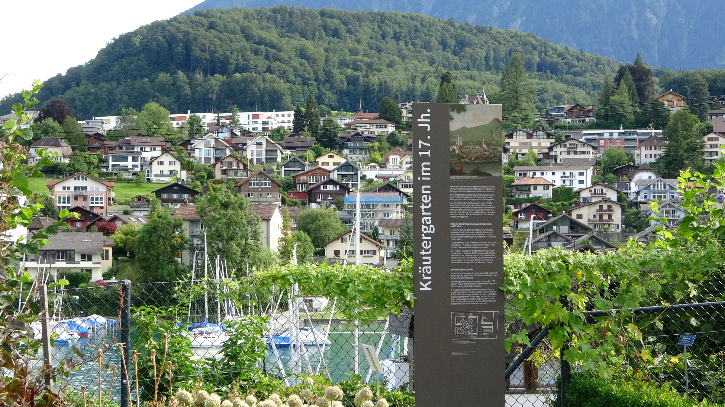 Infotafel zum Kräutergarten aus dem 17. Jahrhundert am Schloss Spiez, dahinter Hafen und Ort