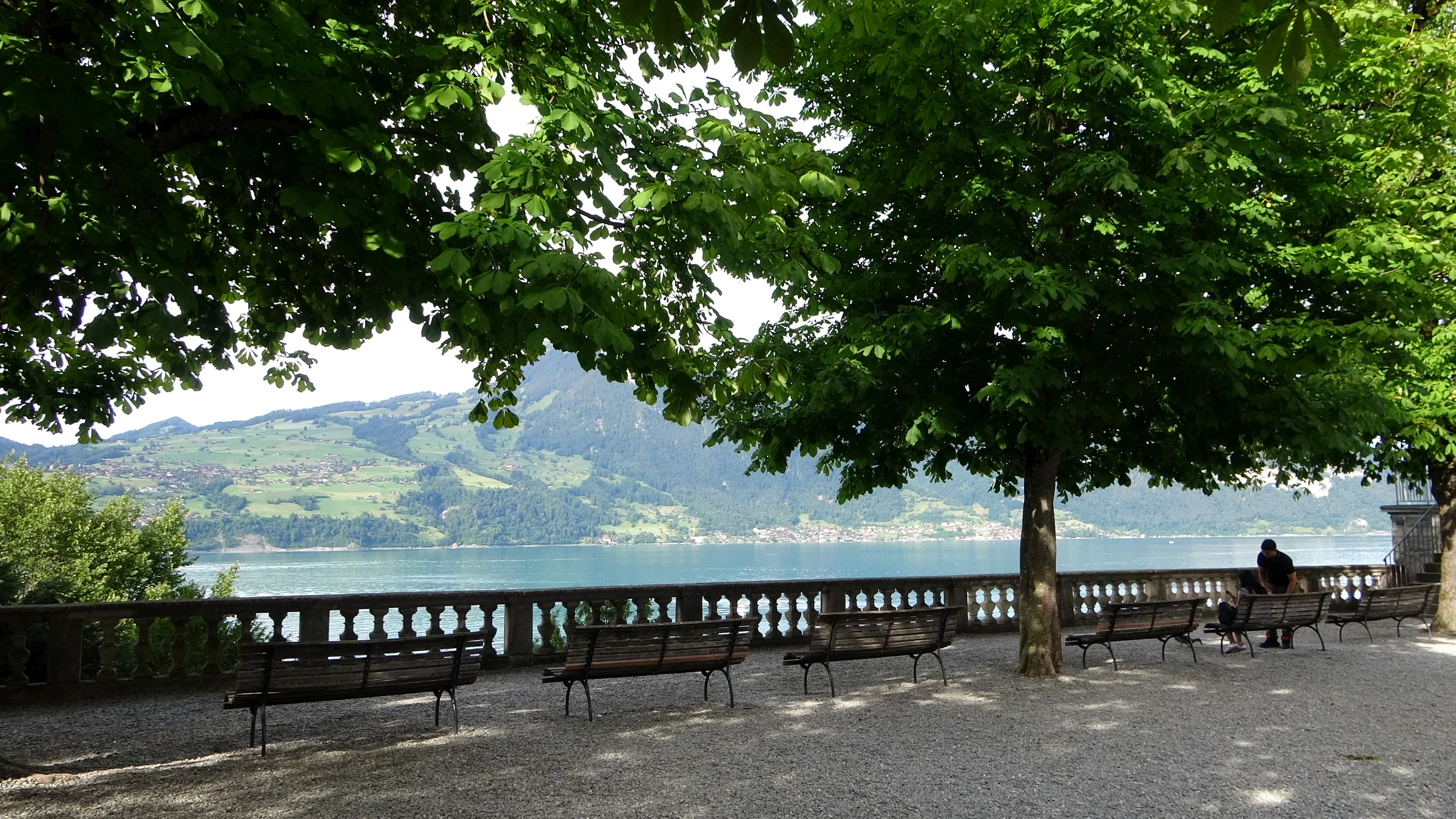 Schattige Terrasse mit Bänken und Steinbalustrade über dem Thunersee im Schlosspark Spiez