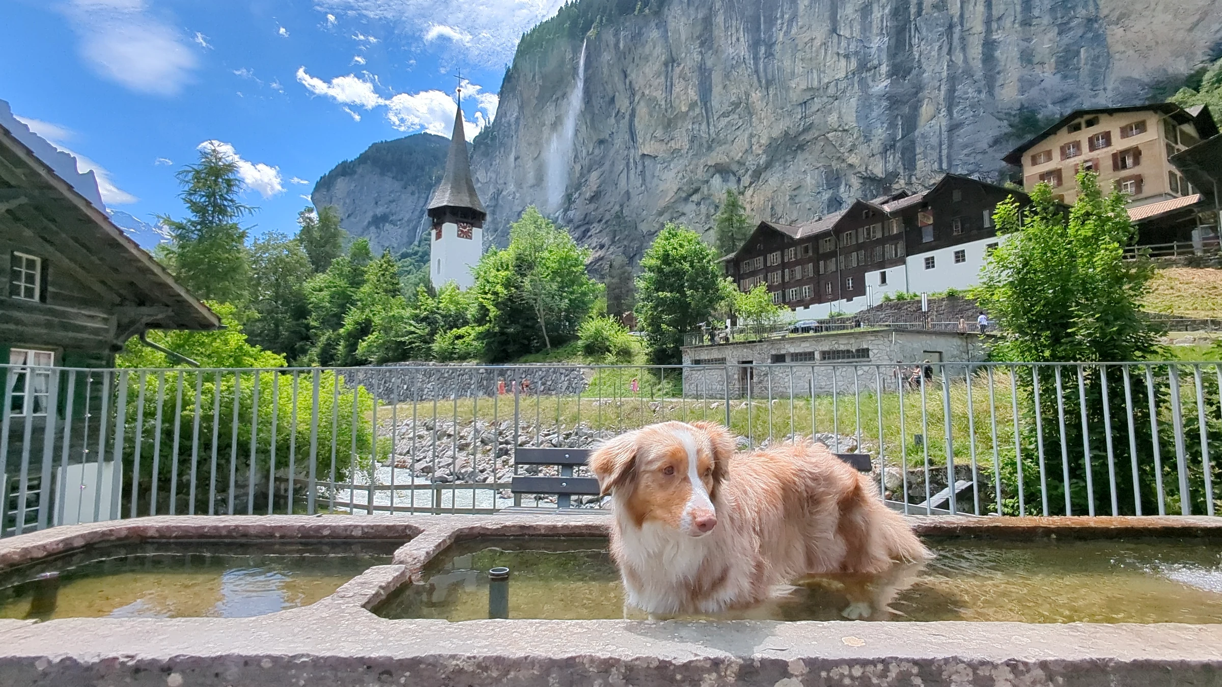 Unser Hund Miley kühlt sich im Steinbrunnen bei der Kirche Lauterbrunnen ab, dahinter der Staubbachfall