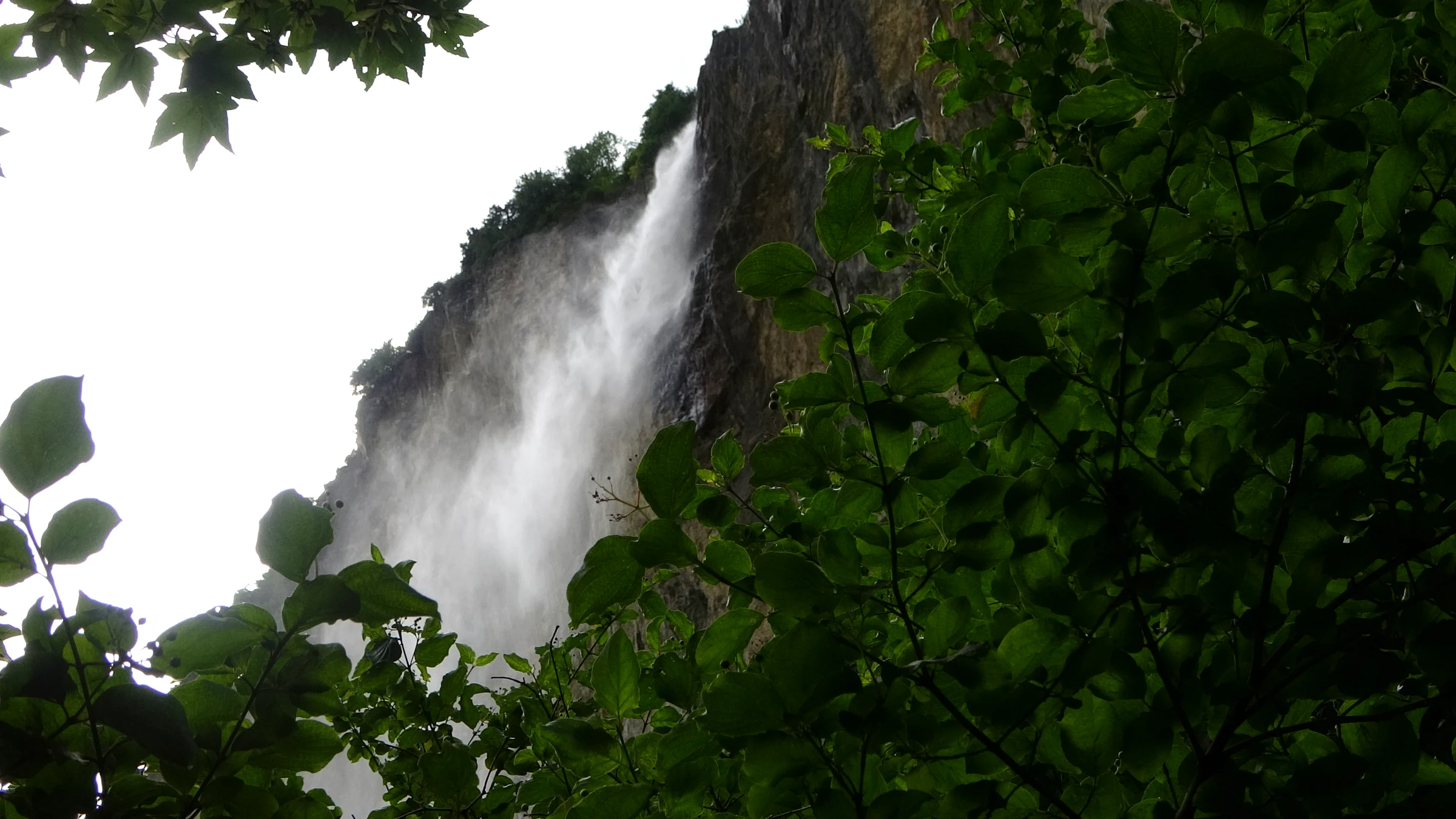 Staubbachfall aus der Nähe, das Wasser zerstäubt zu Nebel, eingerahmt von grünen Blättern