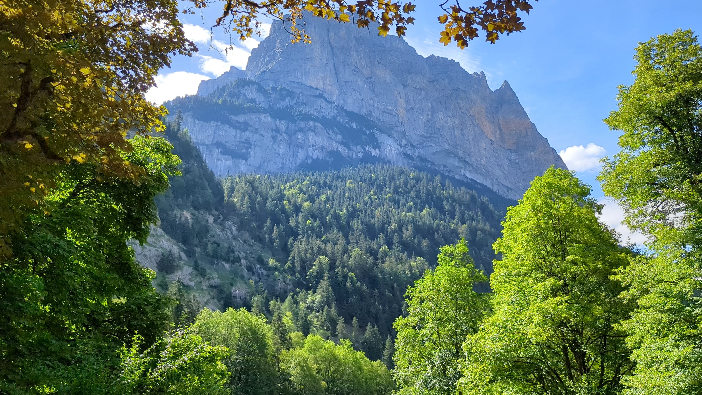 Garten vor den Trümmelbachfällen mit Bäumen und einem Felsgipfel über dem Lauterbrunnental