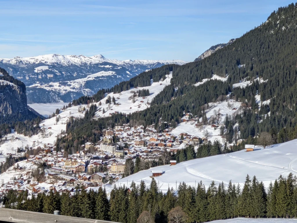 Wengen im Winter von der Wengernalpbahn aus, mit verschneiten Wiesen und Wald